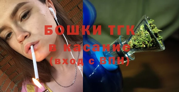 гидра Бронницы