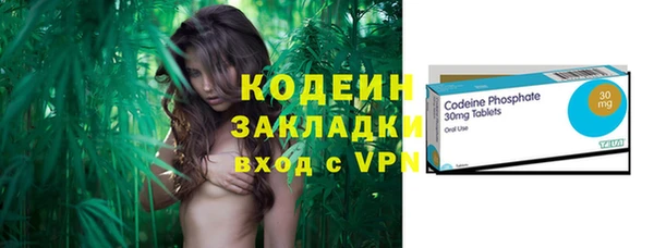PSILOCYBIN Бородино