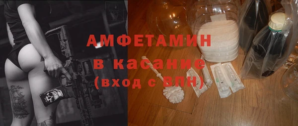 гидра Бронницы