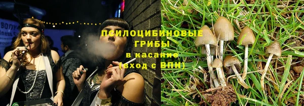 гидра Бронницы