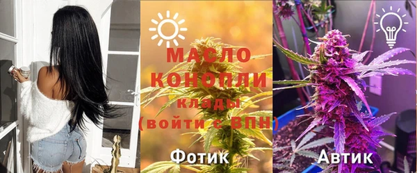 сатива Строитель