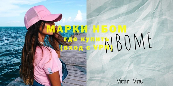 PSILOCYBIN Бородино