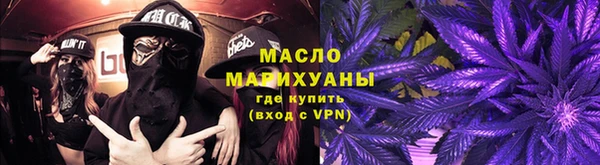 гидра Бронницы