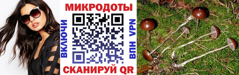 Псилоцибиновые грибы мухоморы  где купить наркоту  Константиновск 
